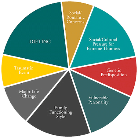 Pie chart for eating disorder treatment in Ewing, NJ and in online therapy in New Jersey reading, 