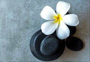 Plumeria flower on top of black round stones on a grey background. Calming smells and textures are grounding tools that can be used in addition to therapy techniques in Ewing, NJ. DBT for teens, LGBTQ counseling and addiction counseling in Ewing, NJ